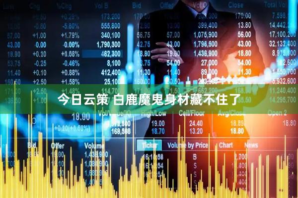 今日云策 白鹿魔鬼身材藏不住了